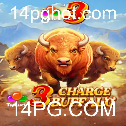 14PG.COM Jogos de mesa