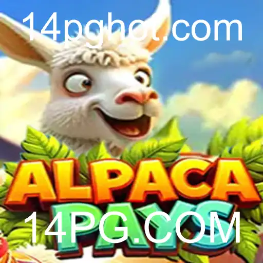 14PG.COM Casino App