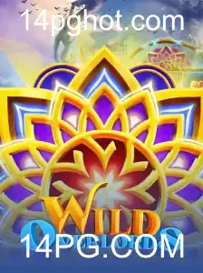 14PG.COM Casino App